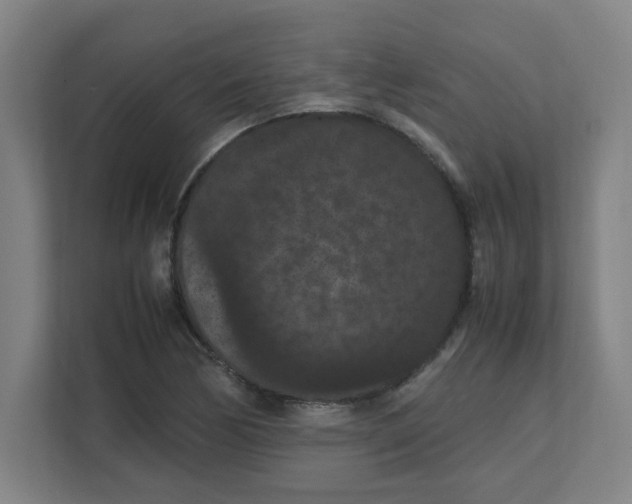 X0000111861170200908201251