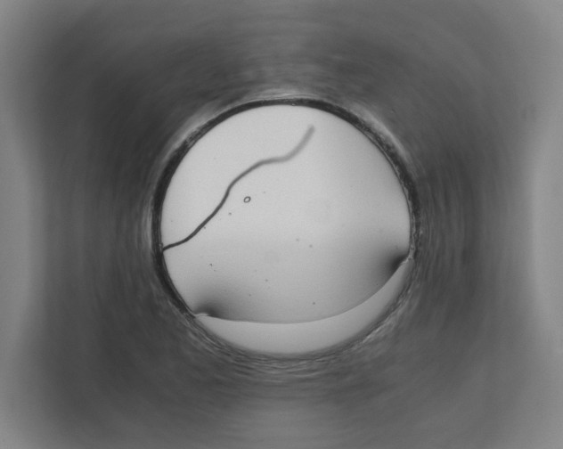 X0000111861173200908201251