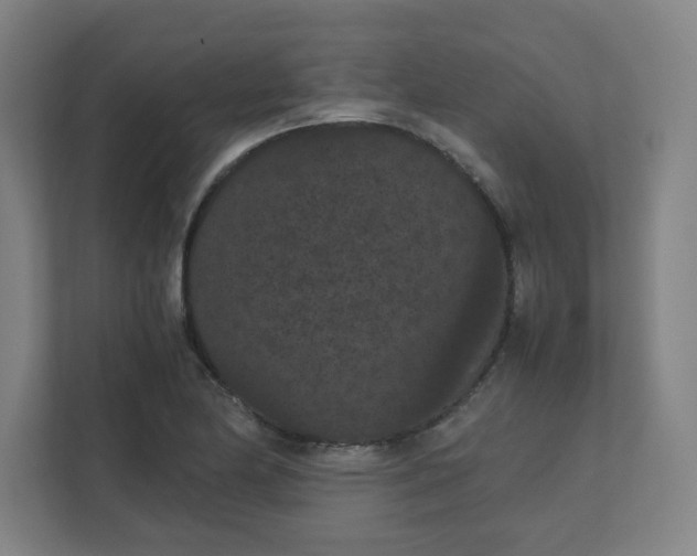 X0000111861174200908201251