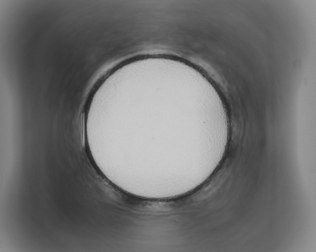 X0000111861175200908201251