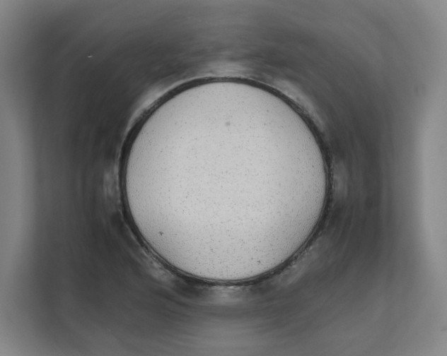 X0000111861176200908201251