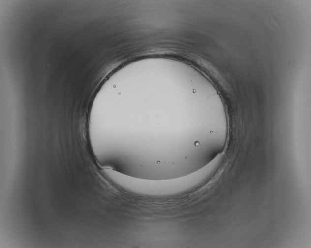 X0000111861177200908201251