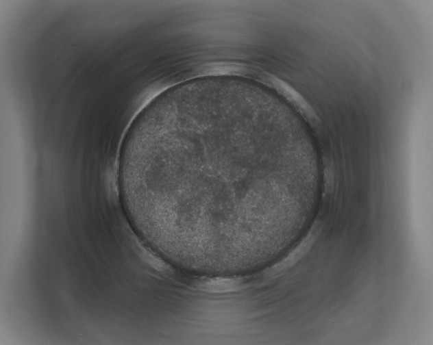 X0000111861178200908201251