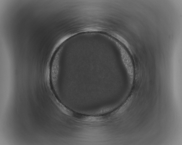 X0000111861179200908201251