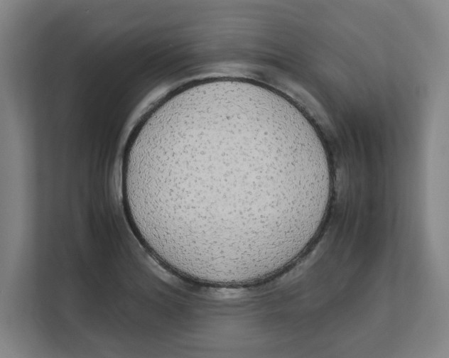 X0000111861180200908201251