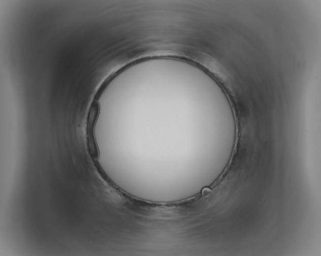 X0000111861181200908201251