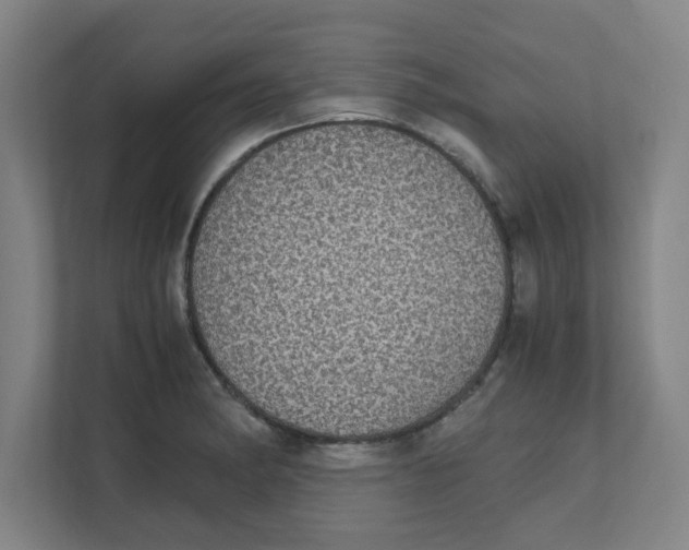 X0000111861182200908201251