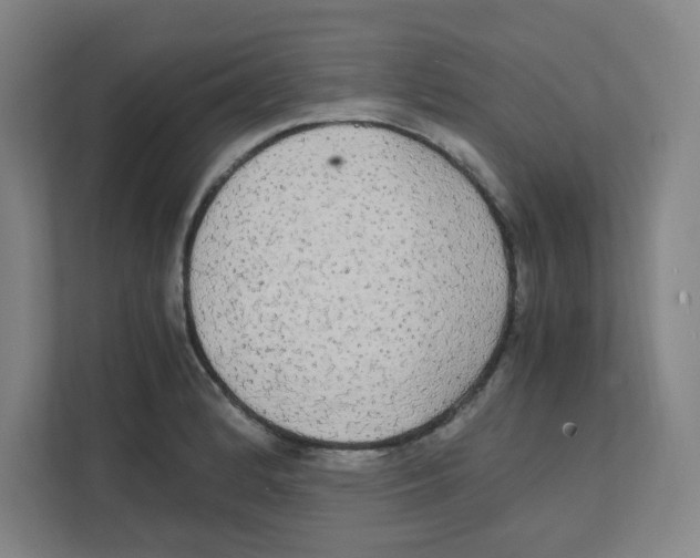 X0000111861184200908201251