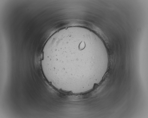 X0000111861185200908201251