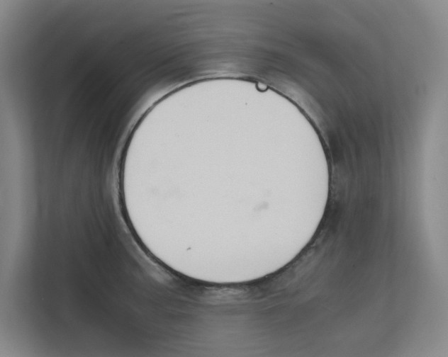 X0000111861187200908201251