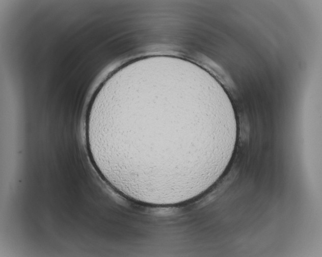 X0000111861188200908201251