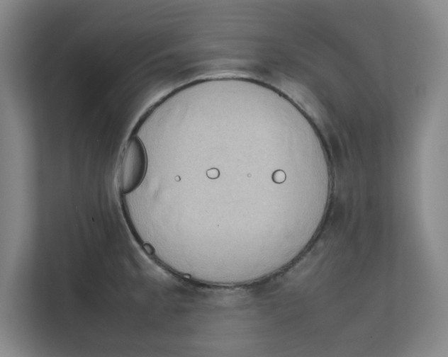 X0000111861189200908201251