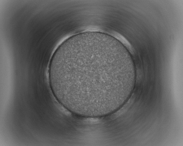 X0000111861190200908201251