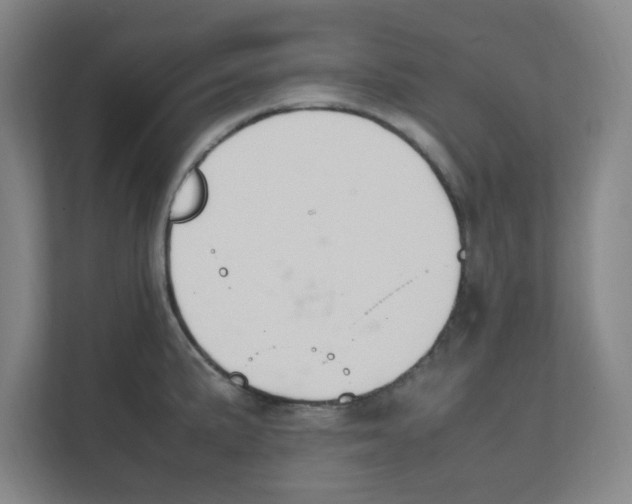 X0000111861191200908201251