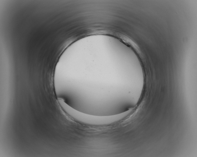 X0000111861193200908201251