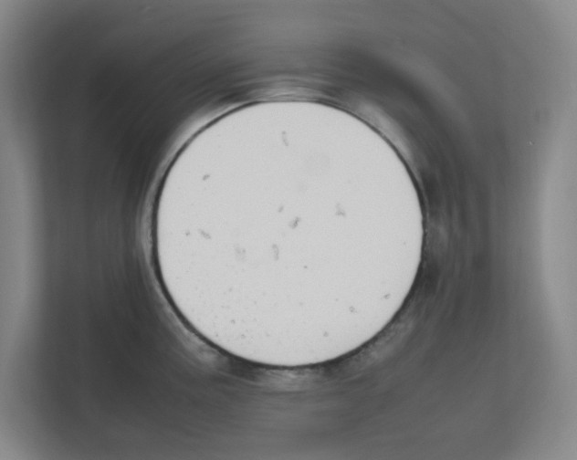 X0000111861195200908201251