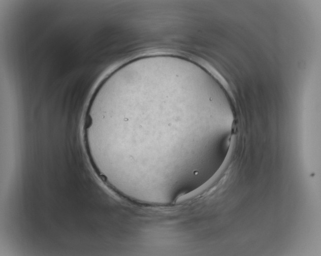 X0000111861197200908201251