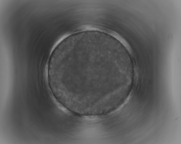 X0000111861198200908201251