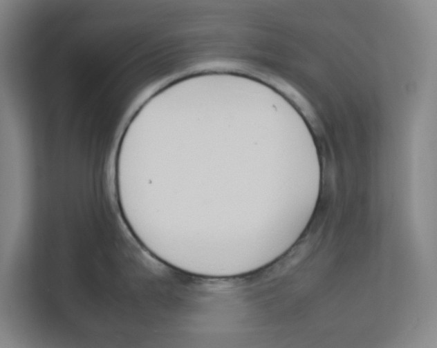 X0000111861199200908201251
