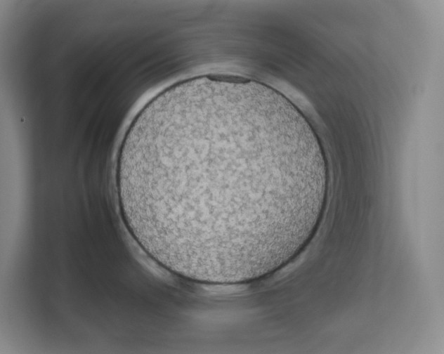 X0000111861200200908201251
