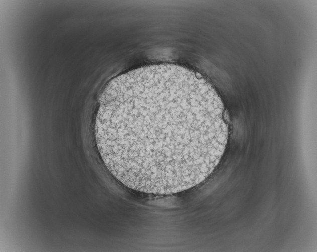 X0000111861201200908201250