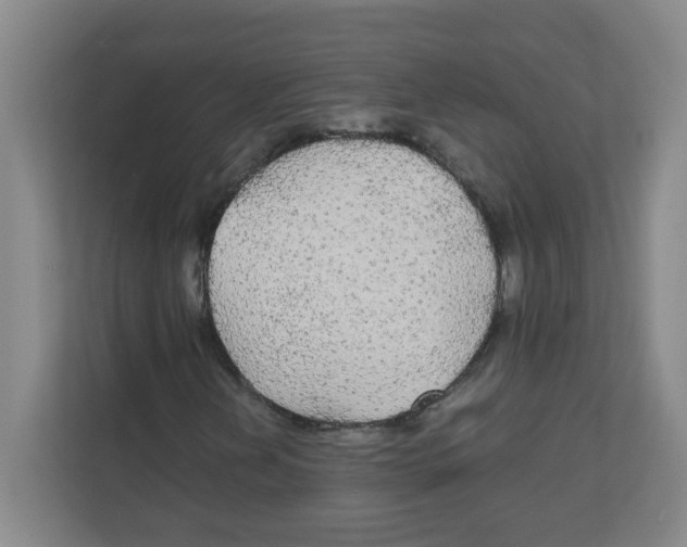 X0000111861202200908201250