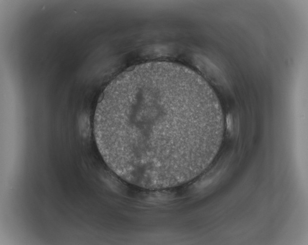 X0000111861203200908201250