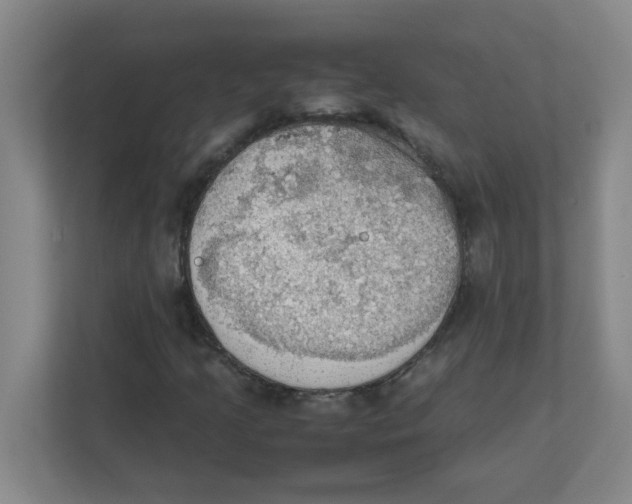 X0000111861205200908201250
