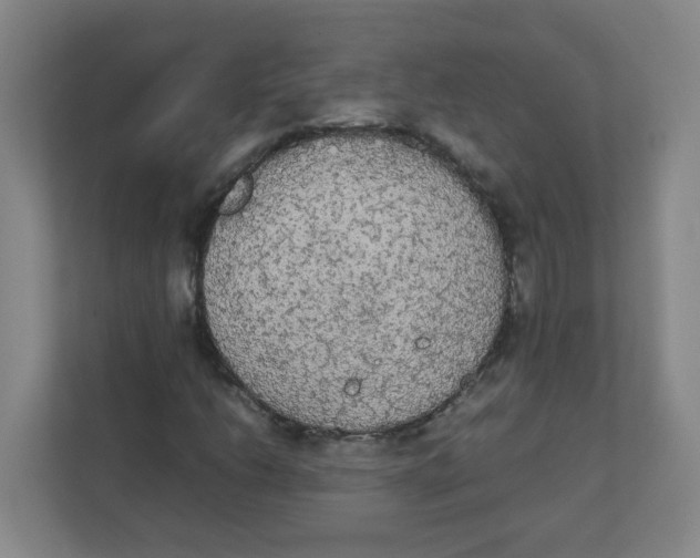 X0000111861206200908201250