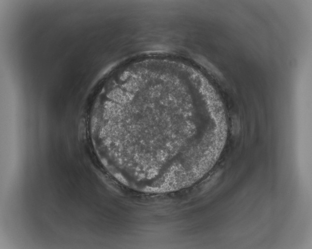 X0000111861208200908201250