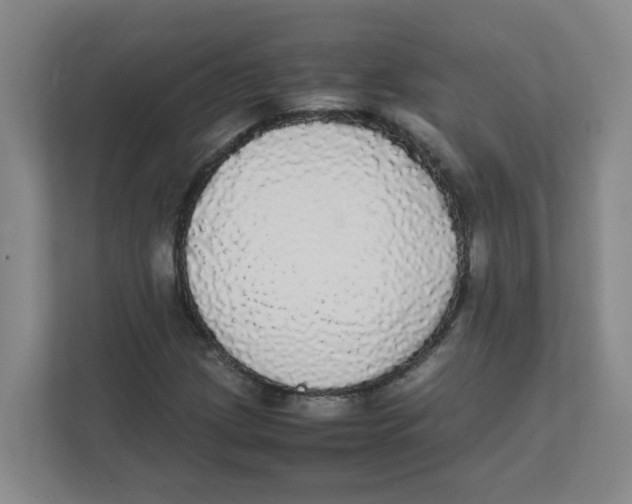 X0000111861209200908201250