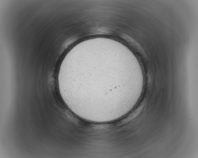 X0000111861210200908201250