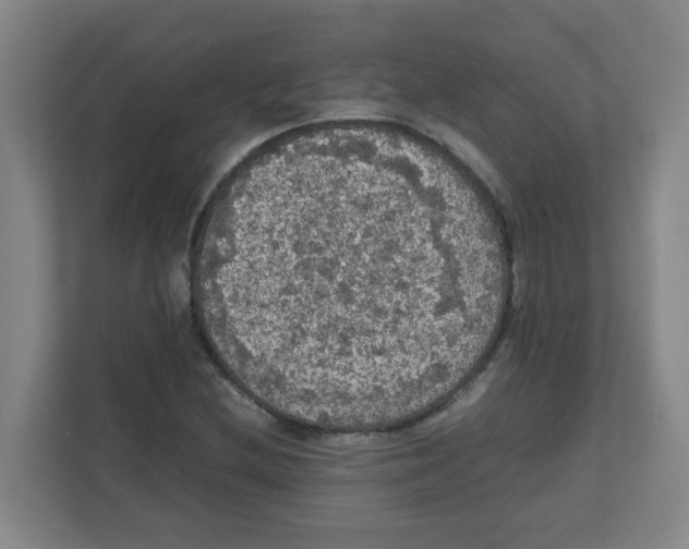 X0000111861212200908201250