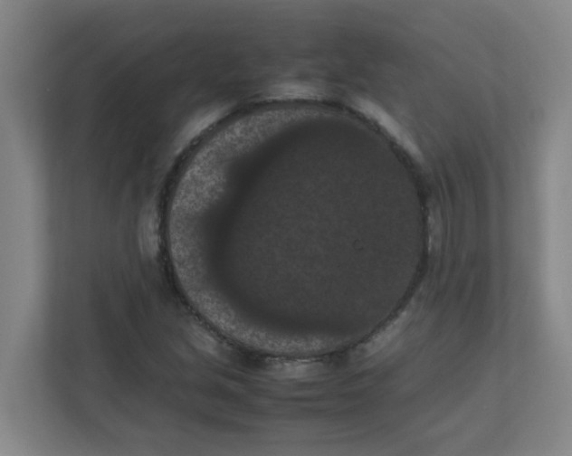 X0000111861213200908201250