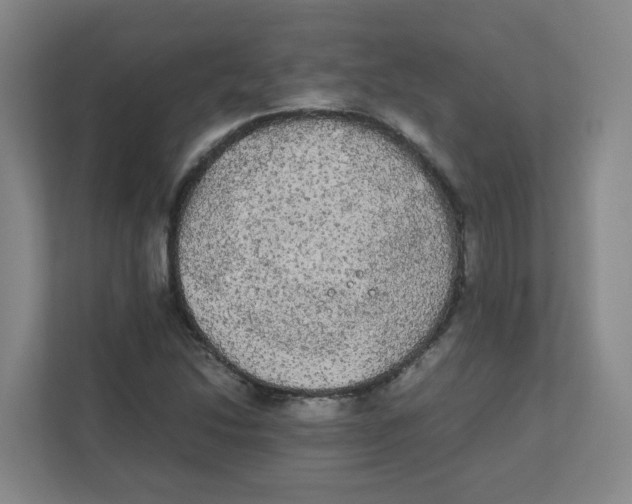 X0000111861214200908201250