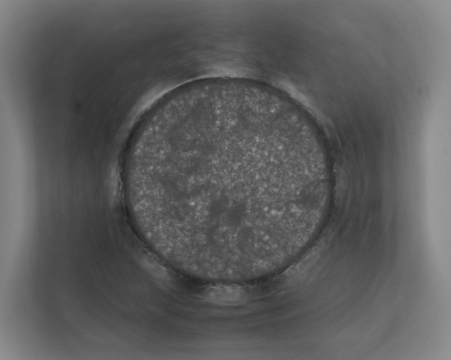 X0000111861215200908201250