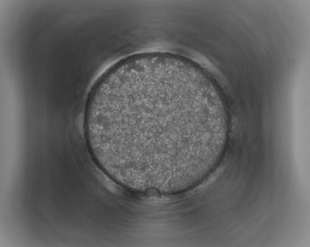 X0000111861216200908201250