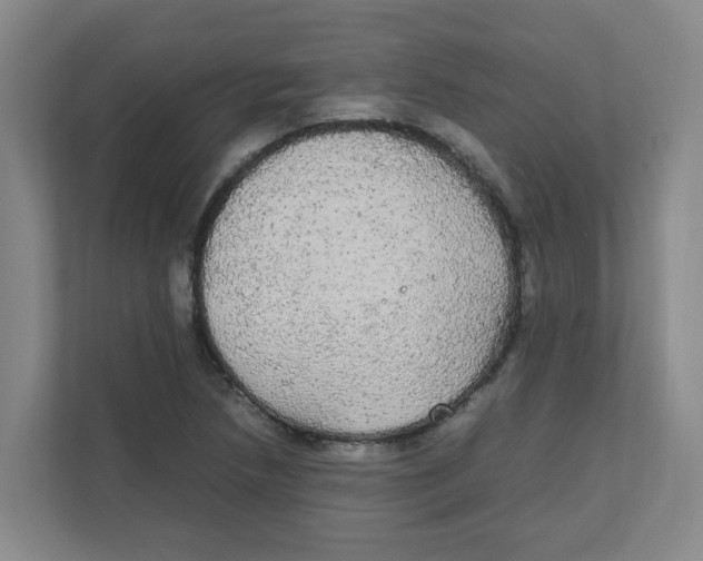 X0000111861218200908201250