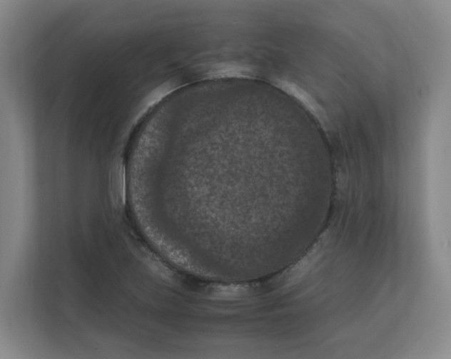 X0000111861219200908201250
