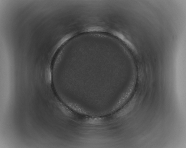 X0000111861221200908201250