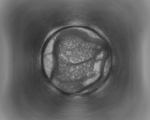 X0000111861222200908201250