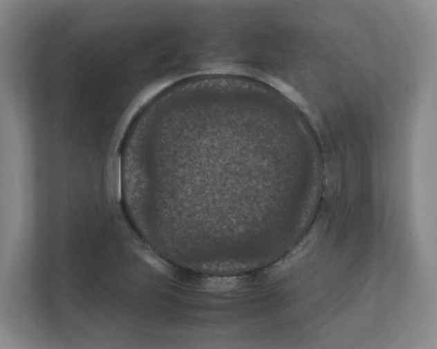 X0000111861223200908201250