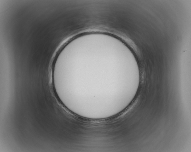 X0000111861224200908201251