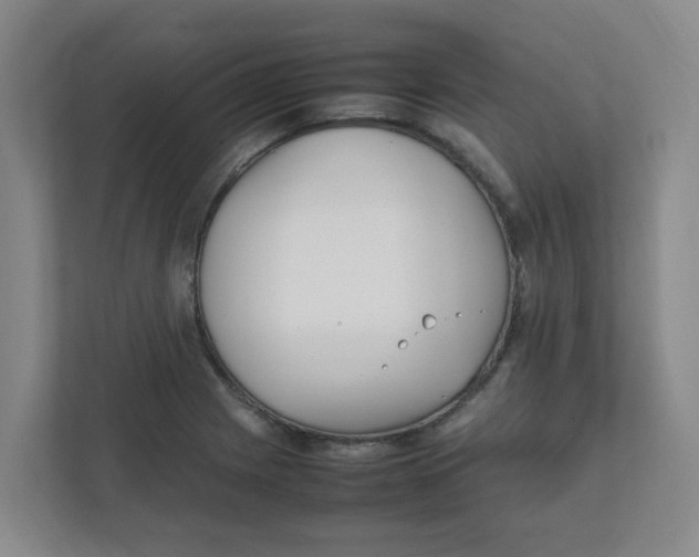 X0000111861225200908201251
