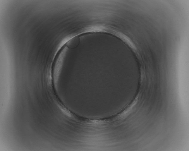 X0000111861226200908201251