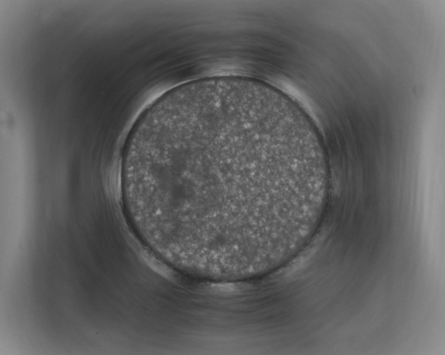 X0000111861227200908201251