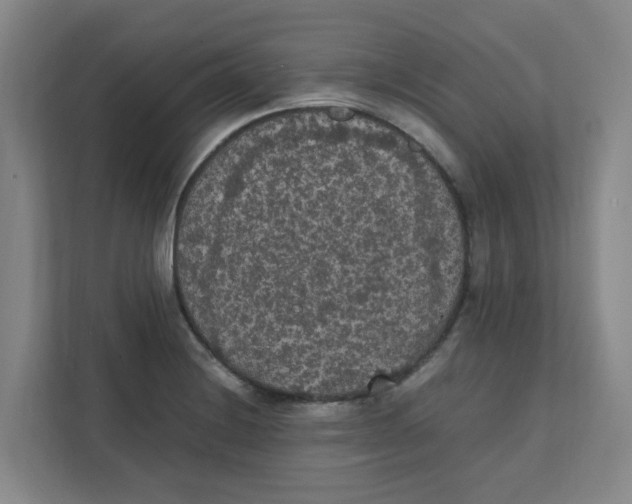 X0000111861228200908201251