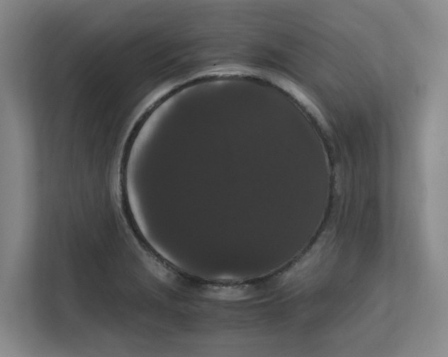 X0000111861229200908201251