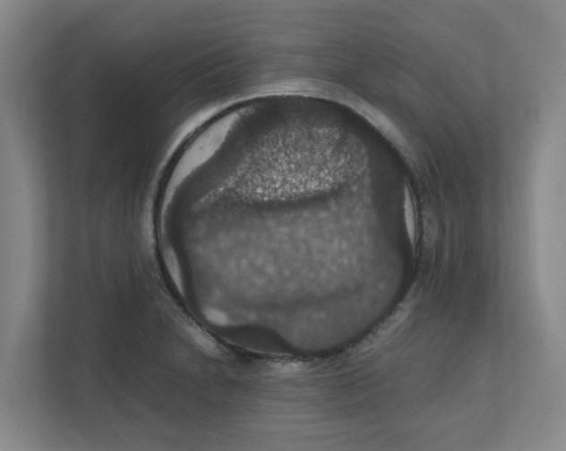 X0000111861230200908201251