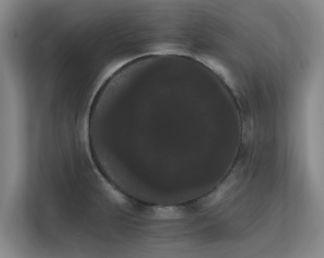X0000111861231200908201251